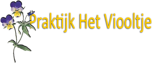 Praktijk Het Viooltje